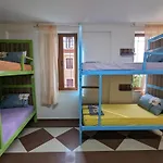 Tias * Shkodër